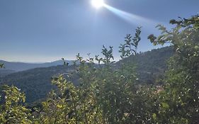Mountainside Experience In Amirim